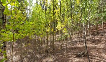 452 QUARTZVILLE Rd, Alma, CO 80420