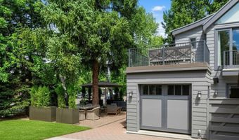101 E Hallam St, Aspen, CO 81611