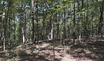 5 05 AC HOY Rd, Augusta, WV 26704