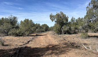 5 Deer Droppings, Ash Fork, AZ 86320
