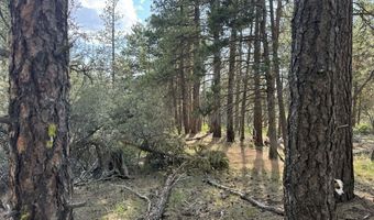 Thunderbear Road 46, Bonanza, OR 97623