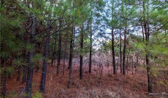 Tract 4 Acme RD, Asher, OK 74826