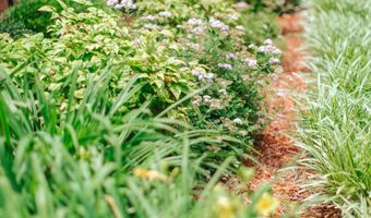 1450 CR 704, Blue Mountain, MS 38610