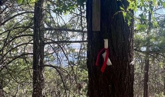 Timberlake Drive 391E25 132, Ashland, OR 97520