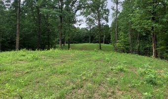 213 Wynn Fry, Big Sandy, TN 38221