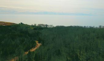 Maxey Road, Arcadia, MI 49613