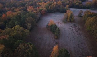 Black Hill Road, Bee Branch, AR 72013