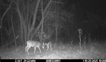 0 W Captina Highway Rd, Alledonia, OH 43902