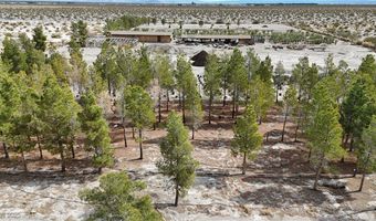 2253 N Saddleback Dr, Amargosa Valley, NV 89020