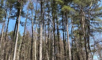 TALLMAN HOLLOW ROAD LOT #4, Montoursville, PA 17754
