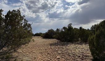 291 County Rd 8052, Concho, AZ 85924