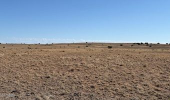 US Highway 180 lot 9C, Concho, AZ 85924