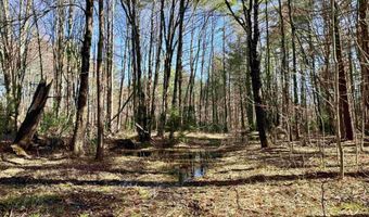 2659 NH Route 16, Albany, NH 03818