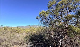 Glenda, Anza, CA 92539