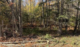 Rand Hill Road, Altona, NY 12910