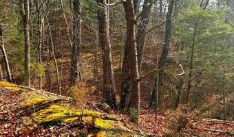 KING Street, Basye, VA 22810