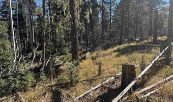 Taos Dr lot 173, Angel Fire, NM 87710