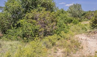 113 Denton Heights Ln, Weatherford, TX 76085