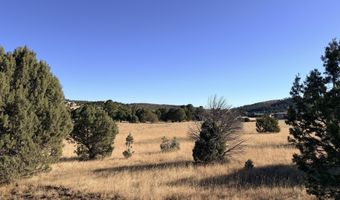 270 A Saddleback Rd Lot 270A, Alto, NM 88312