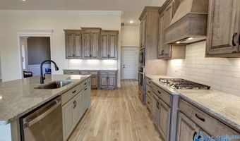 Flagstaff-B Newby Chapel Road, Athens, AL 35613