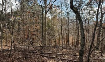 Parksville Road lot 1, Benton, TN 37307