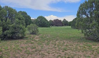 Birdwing Lane, Clay Springs, AZ 85923