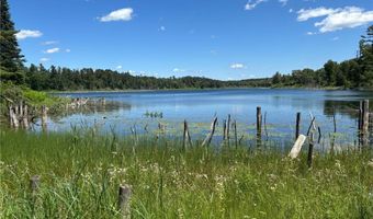 13102 Seaberg Ln, Bagley, MN 56621