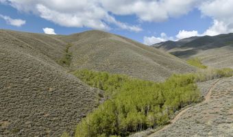 Lees Gulch Rd, Bellevue, ID 83313