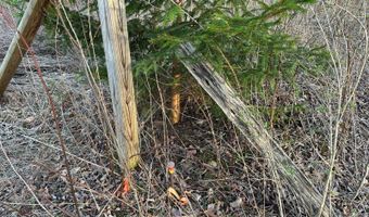 Lot 4 Mud Run Rd, Addison, NY 14801
