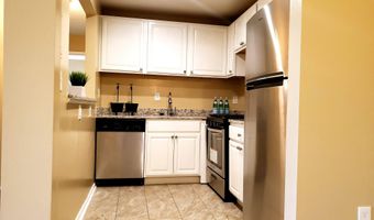 4513 ROMLON St 203, Beltsville, MD 20705