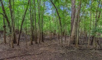 17 Th St, Bell, FL 32619