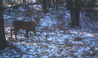 8752 HWY A, Almond, WI 54909