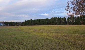 Lot 3 Nc 581 S, Bailey, NC 27807