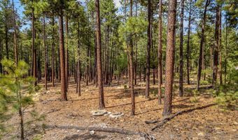Tbd CR2325, Alpine, AZ 85920