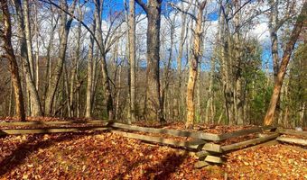 SPITZ Lane, Basye, VA 22810