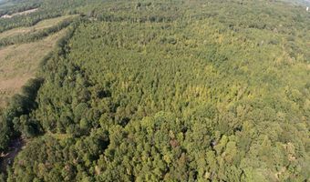 Cr 816, Blue Mountain, MS 38610