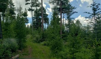 Arlee Pines lot 21, Arlee, MT 59821