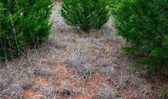 Tract 2 Acme RD, Asher, OK 74826