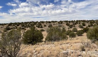 Tbd Prescott Ranch Road, Paulden, AZ 86334