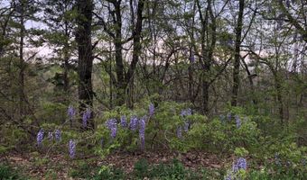 216 Eagle Rock Dr, Arab, AL 35016