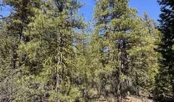 Horned Owl Lane, Bonanza, OR 97623