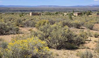 Tract 1 C Mesa Sea Road, Arroyo Hondo, NM 87513