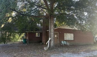 423 Parkwood Ter, Allendale, SC 29810