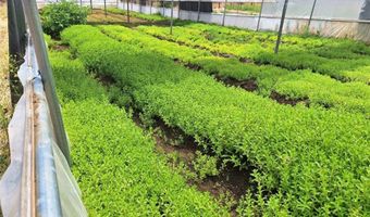 41790 Jay Dee Ln, Anza, CA 92539