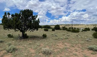 00 TBD, Concho, AZ 85924