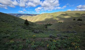 NKN E Tower Creek Road, Carmen, ID 83462
