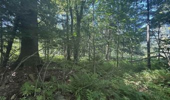 1416 Clif Reynolds Rd 3, Cambridge, VT 05444