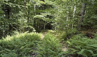 392 Sicard Rd, Brookfield, VT 05036