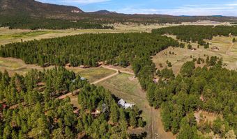 22 CR 2082, Alpine, AZ 85920