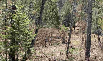 00 E Darling Hill Rd Lot #2, Burke, VT 05832